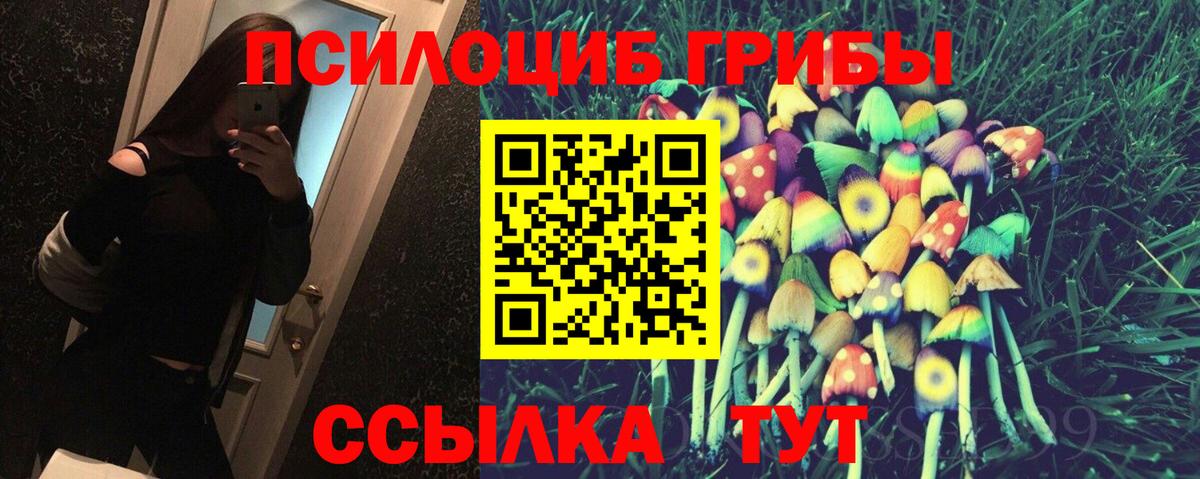 Псилоцибиновые грибы Psilocybine cubensis Ирбит